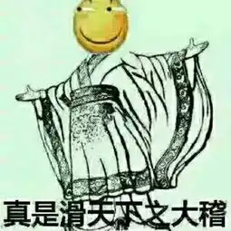 木大木大表情包行乞