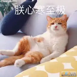 人心换人心你真我就真图片朕心寒至极图片表情包下载乐游网游戏下载