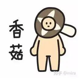 你的英语听力问题,我也承包了1