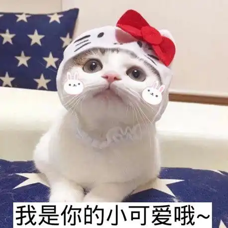 超萌表情包有些人老是说自己过得不好,一上称却又胖了不少