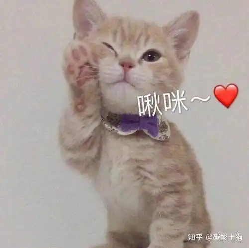 女士手表礼物推荐真正值得入手的女生手表自用or送女生礼物看这一篇就足够