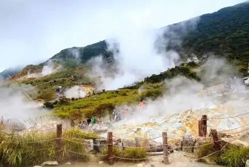 在合适的时间看最好的风景