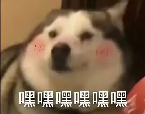 520甜蜜告白教你用代码说情话