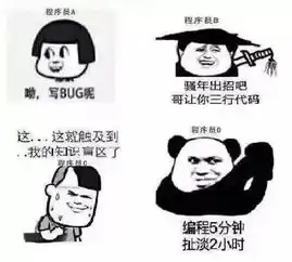 程序员的项目周期表情包版