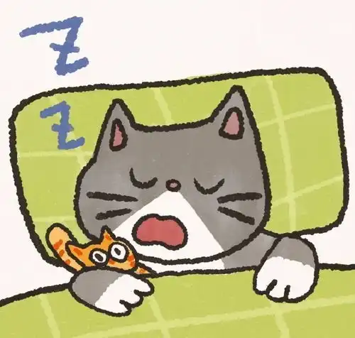 猫猫动漫头像可爱头像
