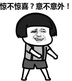 科研技能你的excel软件与统计分析我来承包