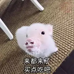 一句话劝人放心吃真不差这一顿