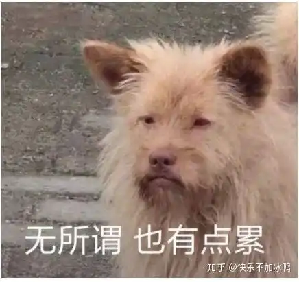 跳舞表情包原版沙雕