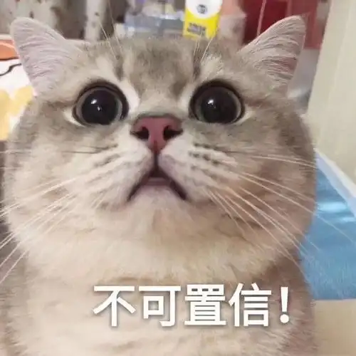 表情包沙雕表情包第八百三十七期
