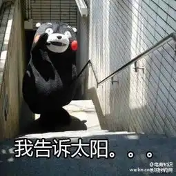 熊本熊夏天表情包