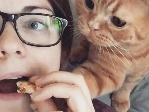 发现猫咪越是把你当妈妈,这些现象越明显