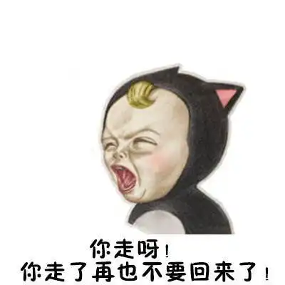 信不信我不爱你表情包