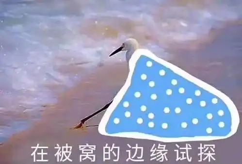 2020秋冬奶奶裤短靴才真的时髦炸了,千万别再露脚踝