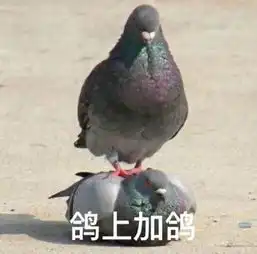 有些人,鸽着鸽着就不会再聚了