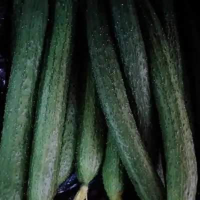 我的血糖每年去体检都说高我能吃苹果香蕉等水果吗