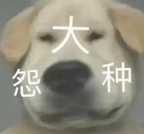 木大木大表情包表情