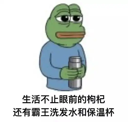 扶朕起来表情包有刺客