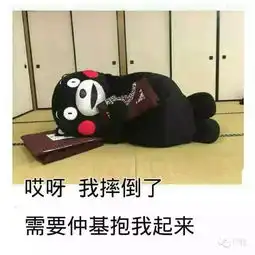 花痴的表情包迷妹