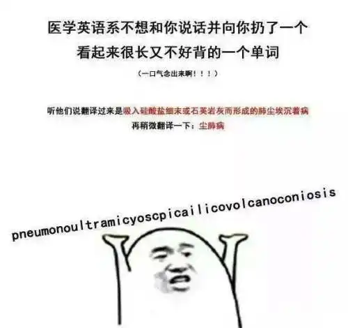 不谢表情包论文