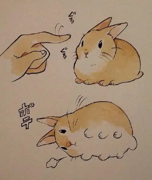 兔子发出呜呜的声音表情
