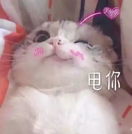 今天也很喜欢你表情包吃