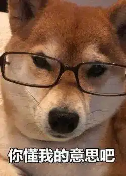 如何一句话证明你养了狗