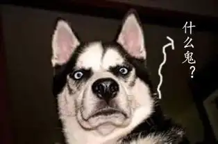 哈士奇表情大全装逼必备,拿走不谢