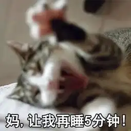妈,我女朋友漏气了