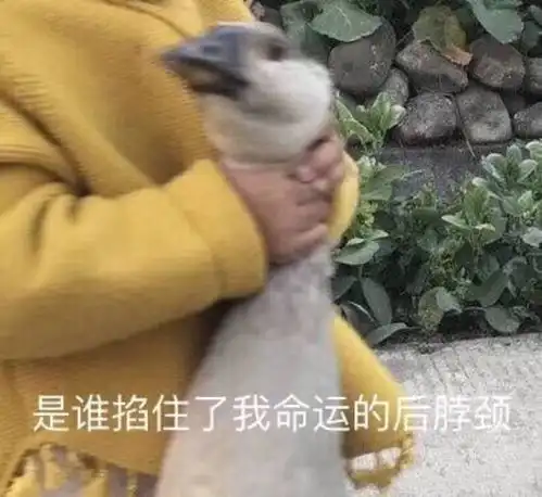 20考研哪些专业的国家线可能会上涨