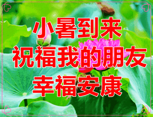问候表情包小暑祝福语