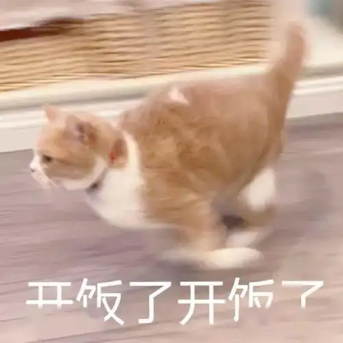 996是在拿命换钱熬夜加班伤身,还能补回来攻略来了