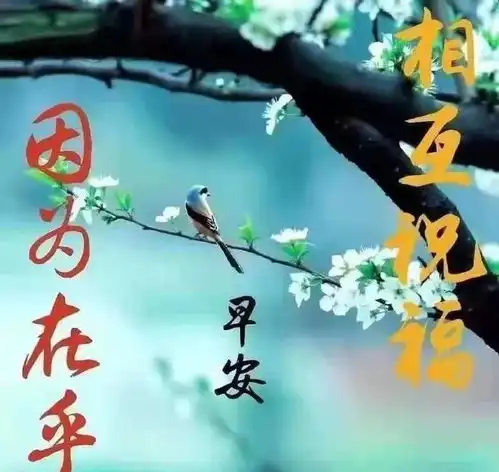 走自己的路,跟随梦想,朝着目标前进,活出自己想要的人生,早安