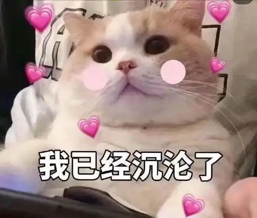 神装秀想和这位150高抗侠妹做朋友的人,已经从昆仑山排到蒲家村了