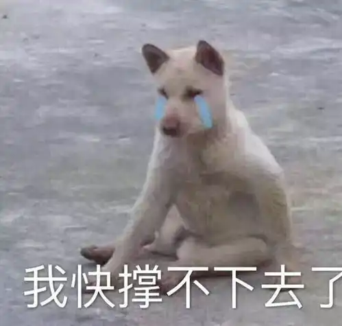 表情包求求你不要再说了