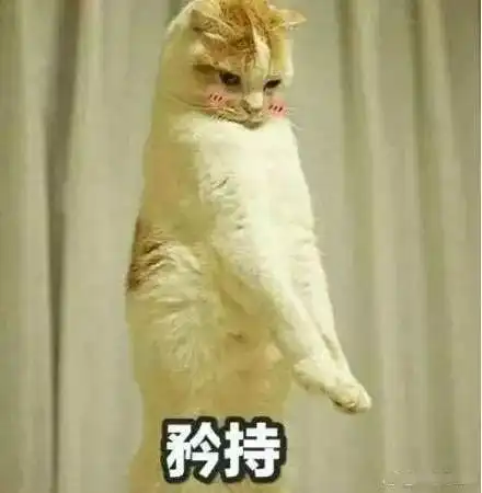 今日开奖