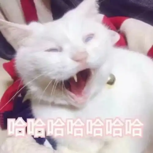 表情包别问我过得好不好你又不是没我支付宝