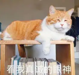 我不的表情包橘猫