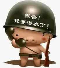 兰振国的设计师家园体验home.