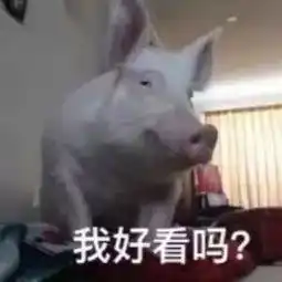 暑假免费帮带孩子需要的联系我