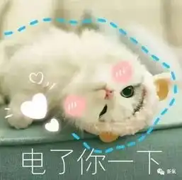 问候表情包小暑猫仙