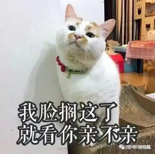 有没有适合谈恋爱的表情包