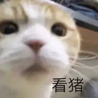 偷窥表情包