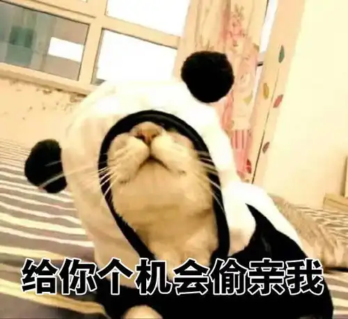 甩耳光表情包表情