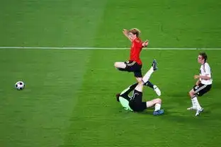 在12年欧洲杯决赛圈中,托雷斯打进几粒进球