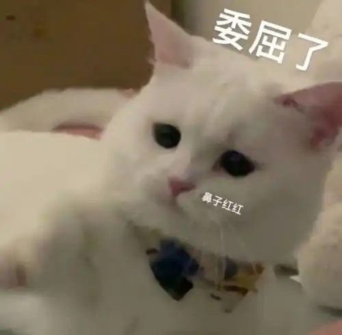 表情包你干吗那么凶