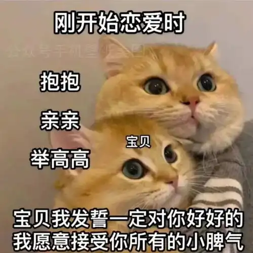 搞笑表情包表情包可爱小女孩动图0703期