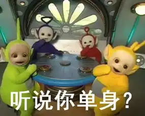 河工生活致河北工大单身贵族
