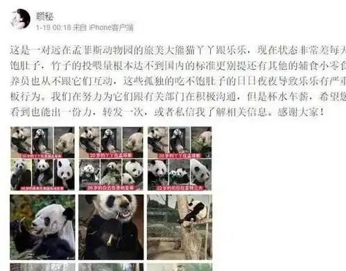 漂泊20年的游子丫丫带着乐乐终于回家了