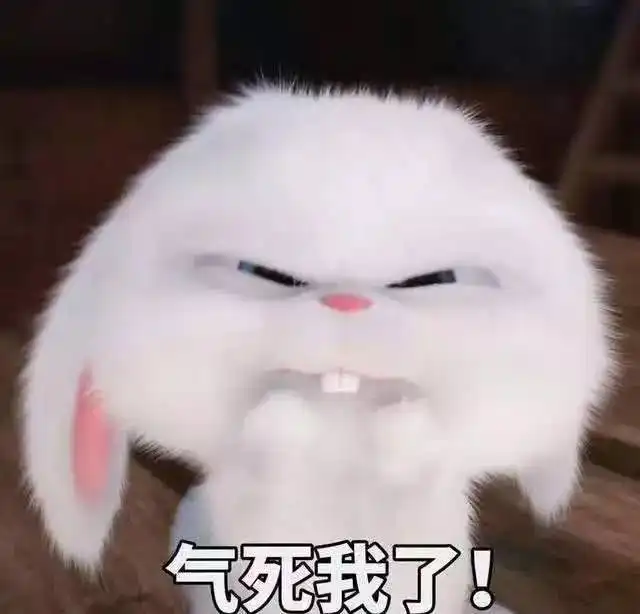 你为什么还不走是不是红绿灯上没有你喜欢的颜色