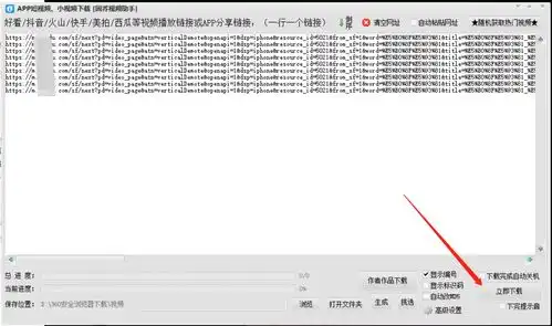 酷燃网搜狐视频去水印解析软件,自媒体视频批量下载工具